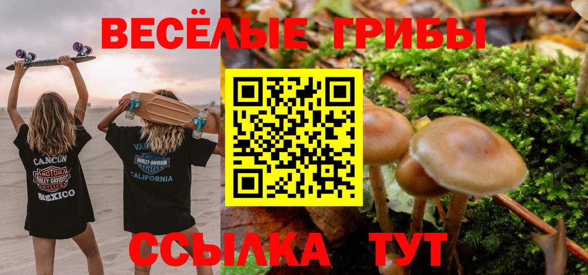 Псилоцибиновые грибы Magic Shrooms  Псилоцибиновые грибы мицелий  Вход с VPN  Химки 