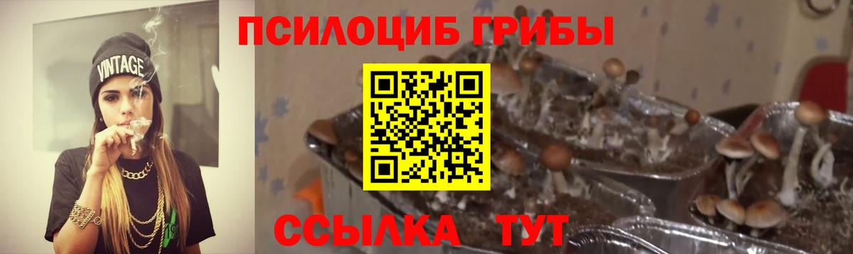 Псилоцибиновые грибы GOLDEN TEACHER Химки